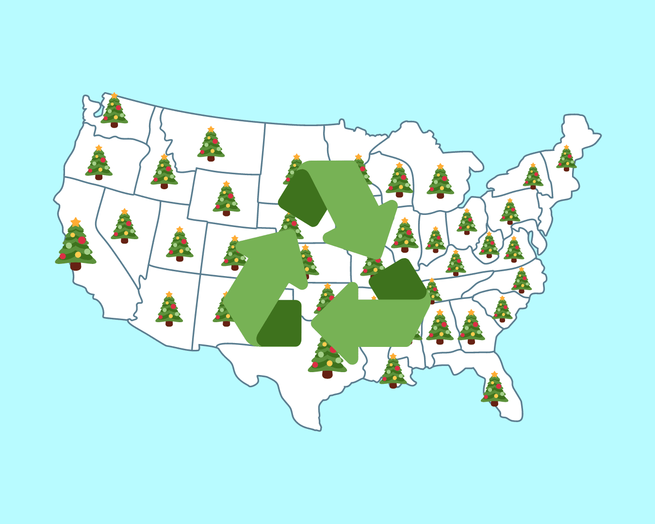When, Where, and How to Recycle Your Christmas Tree in all 50 States